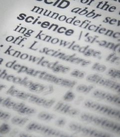 article image - 